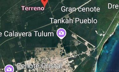 TERRENO EN VENTA VÍA TULUM A COBÁ