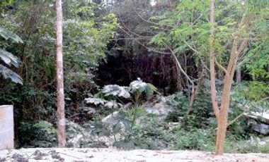 TERRENO EN VENTA VÍA TULUM A COBÁ