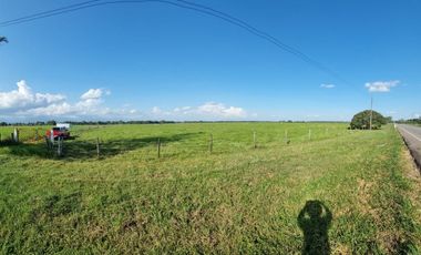 VENTA LOTE DE 1O HECTAREAS