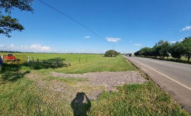 VENTA LOTE DE 1O HECTAREAS