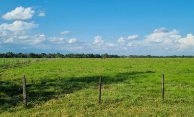 VENTA LOTE DE 1O HECTAREAS