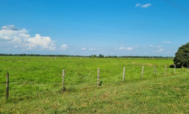 VENTA LOTE DE 1O HECTAREAS