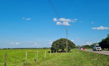 VENTA LOTE DE 1O HECTAREAS