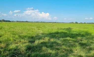 VENTA LOTE DE 1O HECTAREAS