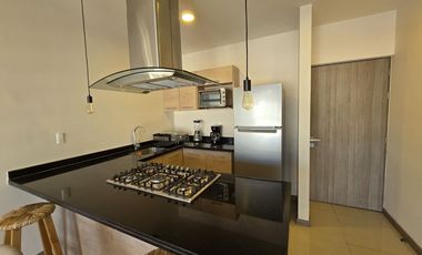 Departamento #1006 Amueblado en RENTA con roof garden privado