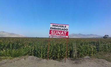 REMATO AMPLIO PREDIO RURAL EN PATIVILCA