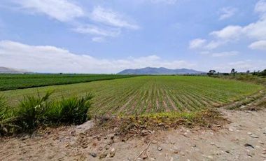 REMATO AMPLIO PREDIO RURAL EN PATIVILCA