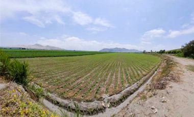 REMATO AMPLIO PREDIO RURAL EN PATIVILCA