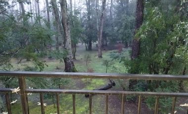 Pucón, arriendo año corrido depto. gran oferta en excelente condominio