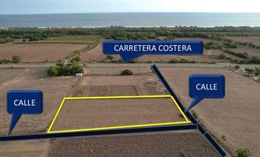 MEDIA HECTAREA EN
CHARCO SECO