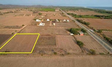 MEDIA HECTAREA EN
CHARCO SECO