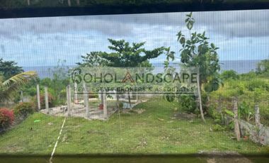 2 Storey House for Rent in Catarman, Dauis, Bohol