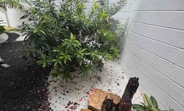 House for Rent in Ayala NorthPoint