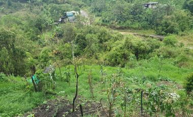 VENDO TERRENO , VEREDA  RIECITO ISPECCION DE SAN SAN ADOLFO MUNICIPIO DE ACEVEDO