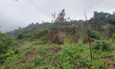 VENDO TERRENO , VEREDA  RIECITO ISPECCION DE SAN SAN ADOLFO MUNICIPIO DE ACEVEDO