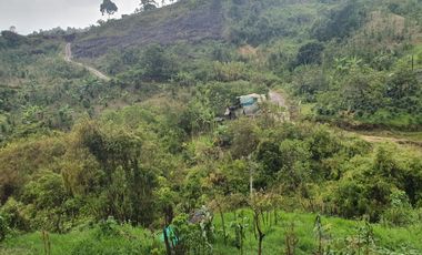 VENDO TERRENO , VEREDA  RIECITO ISPECCION DE SAN SAN ADOLFO MUNICIPIO DE ACEVEDO