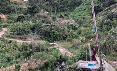 VENDO TERRENO , VEREDA RIECITO ISPECCION DE SAN SAN ADOLFO MUNICIPIO DE ACEVEDO