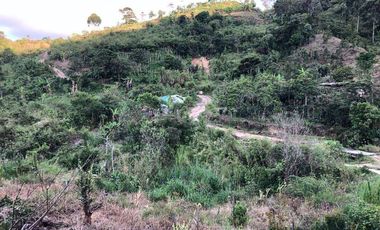 VENDO TERRENO , VEREDA RIECITO ISPECCION DE SAN SAN ADOLFO MUNICIPIO DE ACEVEDO