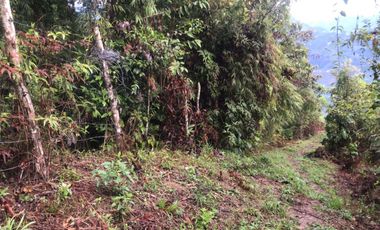 VENDO TERRENO , VEREDA RIECITO ISPECCION DE SAN SAN ADOLFO MUNICIPIO DE ACEVEDO