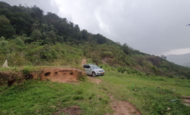 VENDO TERRENO , VEREDA RIECITO ISPECCION DE SAN SAN ADOLFO MUNICIPIO DE ACEVEDO
