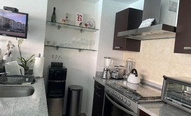 Renta de Departameto Amueblado en Foresta Metepec