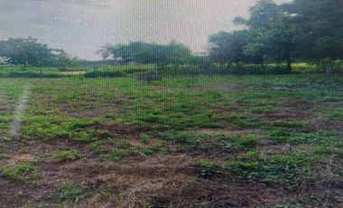 PUNTA ZICATELA, DON GOYO, INMEJORABLE UBICACIÓN