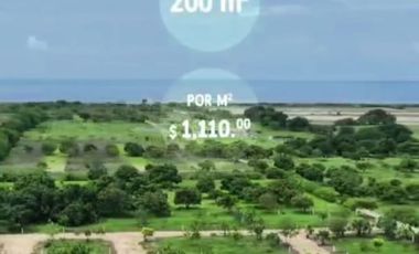 FCTO. ACANTO, SIMPLEMENTE ESTUPENDO