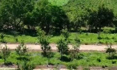 FCTO. ACANTO, SIMPLEMENTE ESTUPENDO