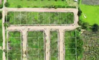 FCTO. ACANTO, SIMPLEMENTE ESTUPENDO