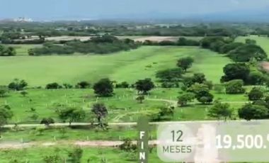 FCTO. ACANTO, SIMPLEMENTE ESTUPENDO