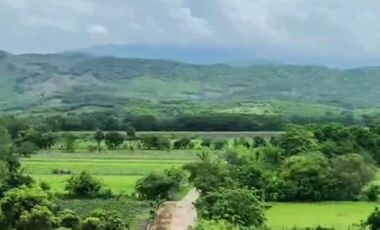 FCTO. ACANTO, SIMPLEMENTE ESTUPENDO