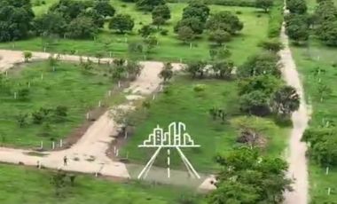 FCTO. ACANTO, SIMPLEMENTE ESTUPENDO