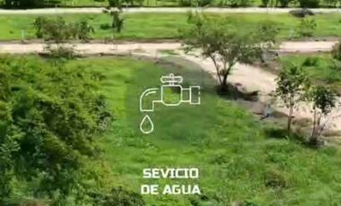 FCTO. ACANTO, SIMPLEMENTE ESTUPENDO