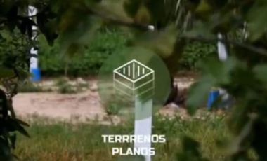 FCTO. ACANTO, SIMPLEMENTE ESTUPENDO