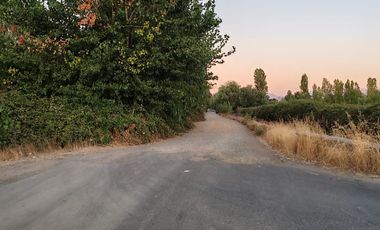 VENTA DE TERRENO EN LINARES GUANDANTUM