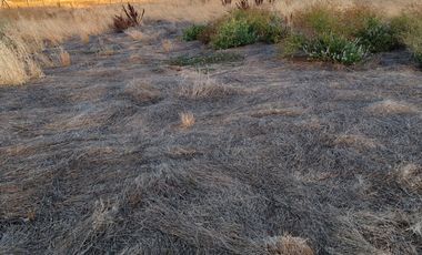 VENTA DE TERRENO EN LINARES GUANDANTUM