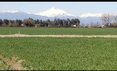 VENTA DE TERRENO EN LINARES GUANDANTUM