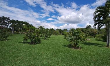 VENTA CASA CAMPETRE ROZO PALMIRA