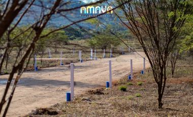 FCTO AMAYA,    GRAN OPORTUNIDAD