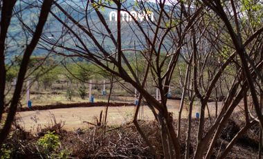 FCTO AMAYA,    GRAN OPORTUNIDAD