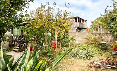 Casa + Negocio + Cabañas