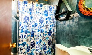 Casa + Negocio + Cabañas