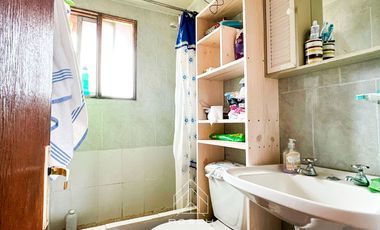 Casa + Negocio + Cabañas