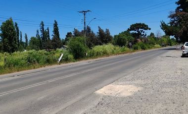 PARCELA EN VENTA PANIMAVIDA CAPILLA PALACIOS