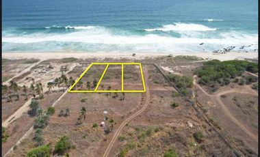 MANGATA”Santa Elena el tule”