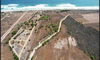 MANGATA”Santa Elena el tule”