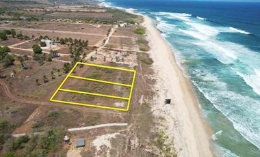 MANGATA”Santa Elena el tule”