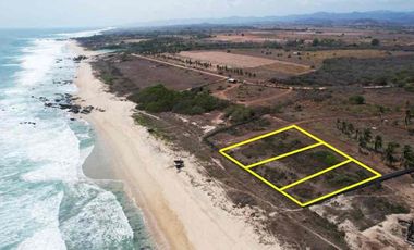 MANGATA”Santa Elena el tule”