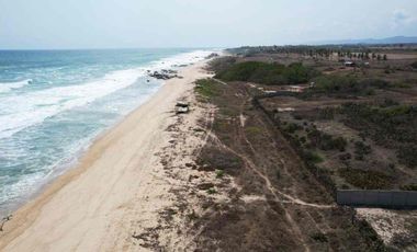 MANGATA”Santa Elena el tule”