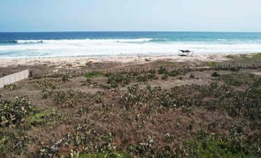 MANGATA”Santa Elena el tule”